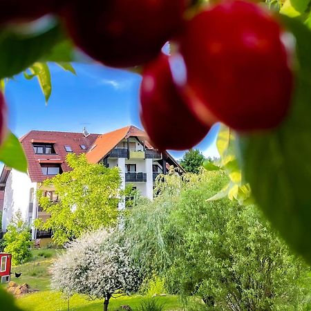 Gasthaus Hirschenstube & Gaestehaus Gehri Waldkirch Eksteriør billede