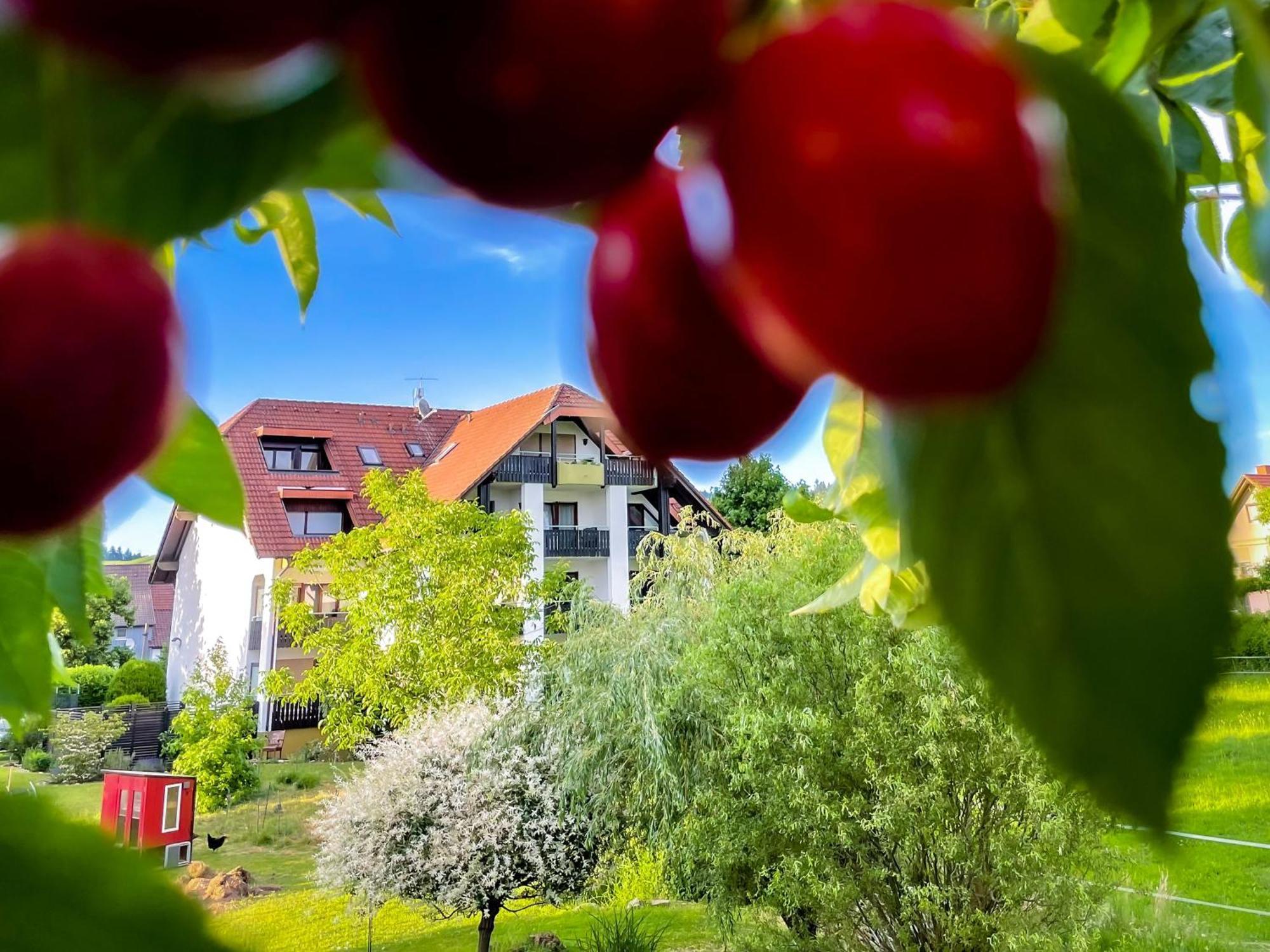 Gasthaus Hirschenstube & Gaestehaus Gehri Waldkirch Eksteriør billede